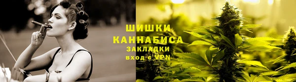 стаф Волоколамск