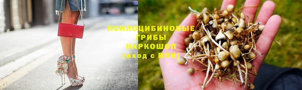 стаф Волоколамск