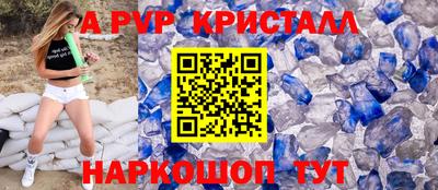 тгк Кингисепп