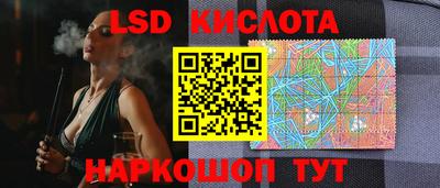 тгк Кингисепп