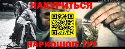 тгк Кингисепп