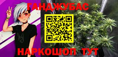 тгк Кингисепп