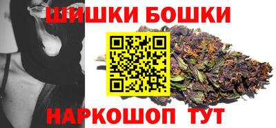 тгк Кингисепп