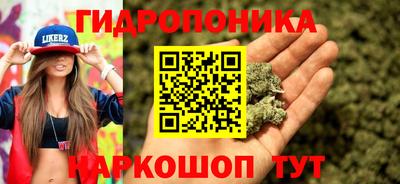 тгк Кингисепп